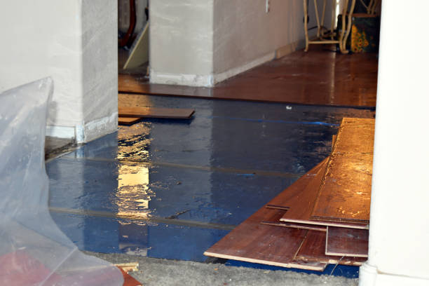 Professional Water Damage Restoration technician working in Roanoke, AL